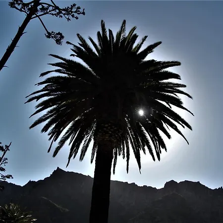 Daire Paula Pool Adeje *