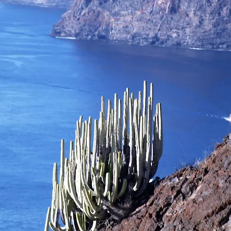 Daire Paula Pool Adeje *