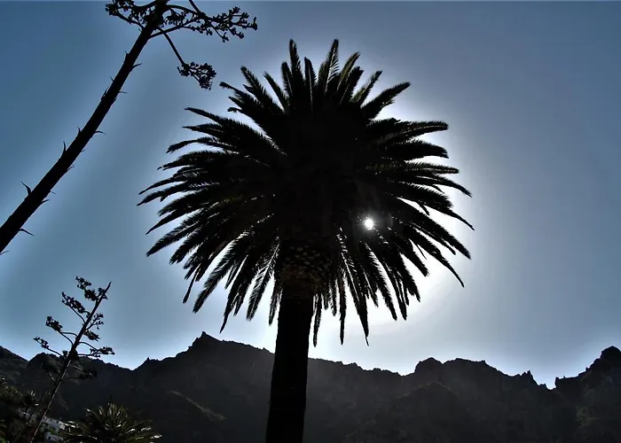 شقة Paula Pool Adeje *