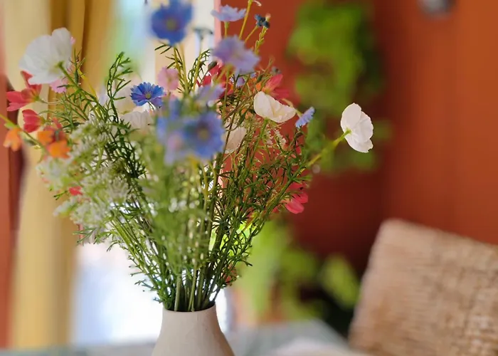 Paula Pool Adeje * أذيخي