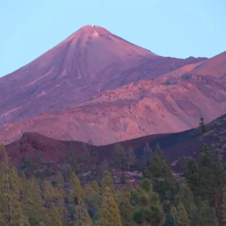 Paula Pool Adeje Lejlighed Costa Adeje (Tenerife)