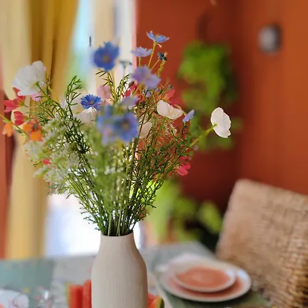 Paula Pool Adeje * Costa Adeje (Tenerife)