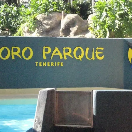 Paula Pool Adeje Apartamento