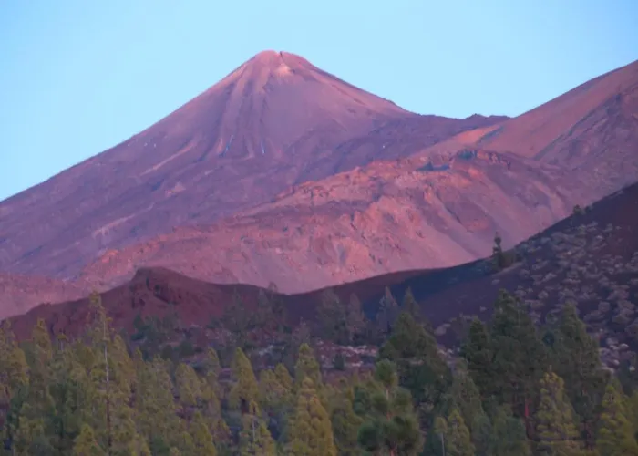 Paula Pool Adeje Διαμέρισμα Costa Adeje (Tenerife)