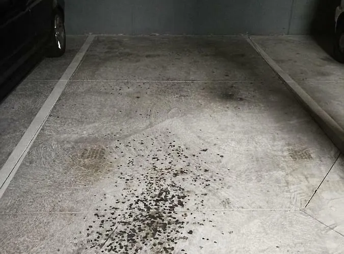 Appartement Paula Pool Adeje Costa Adeje (Tenerife)