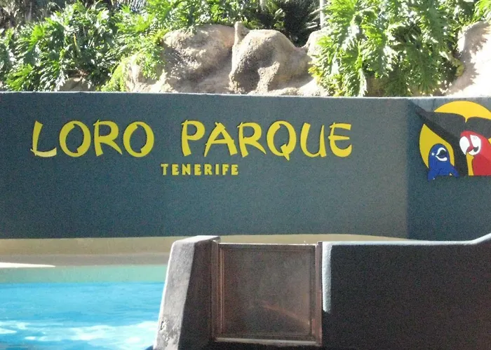 Paula Pool Adeje Διαμέρισμα